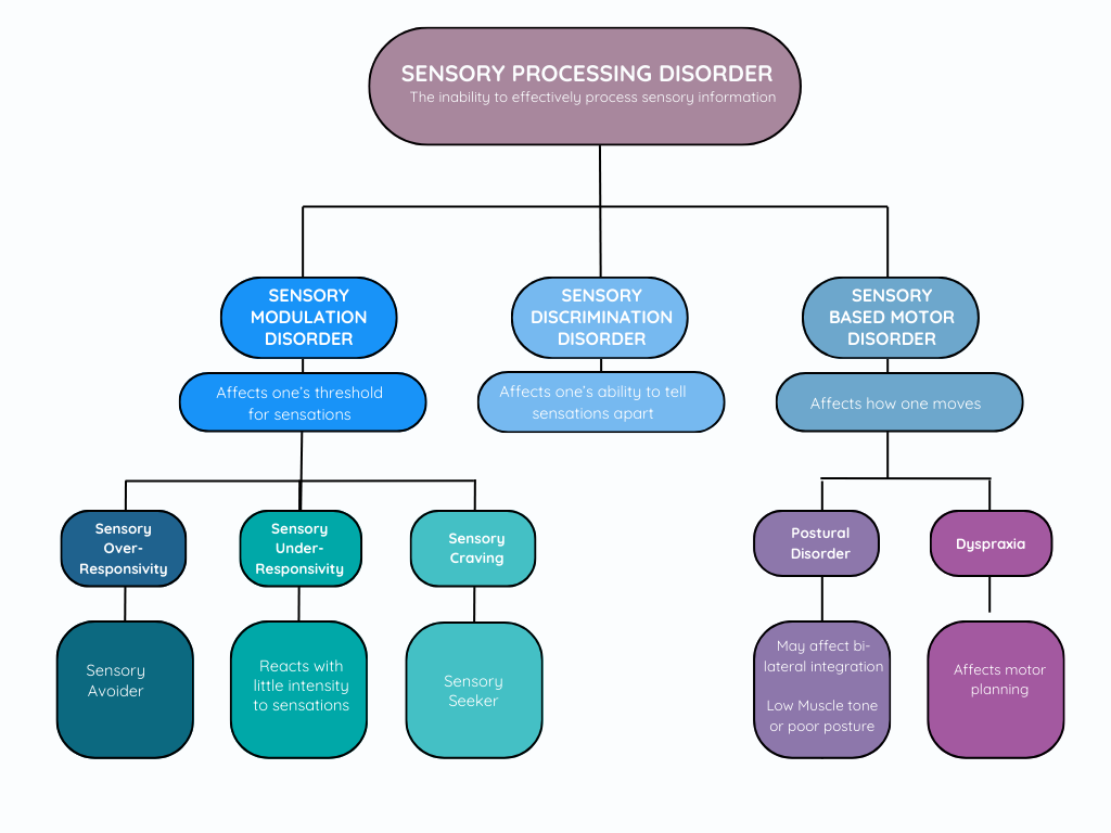 sensory processing disorder chart