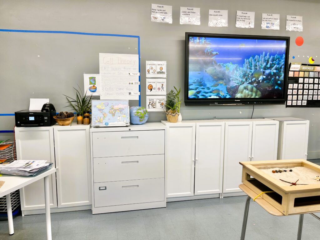 autism classroom