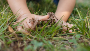 sensory leaves and grass